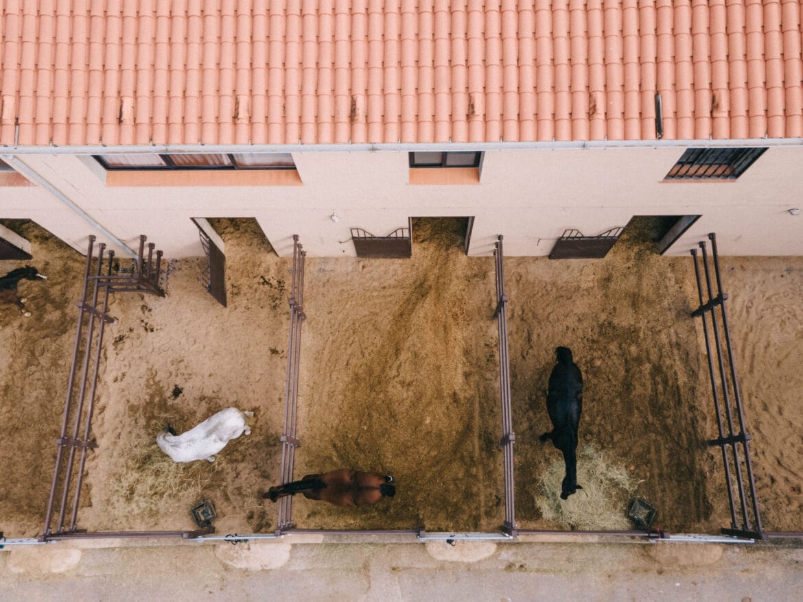 DJI_0915