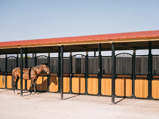 Vista general de boxes exteriores en PS Equestrian