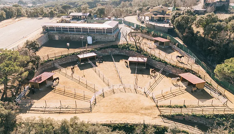 Obra PS Equestrian