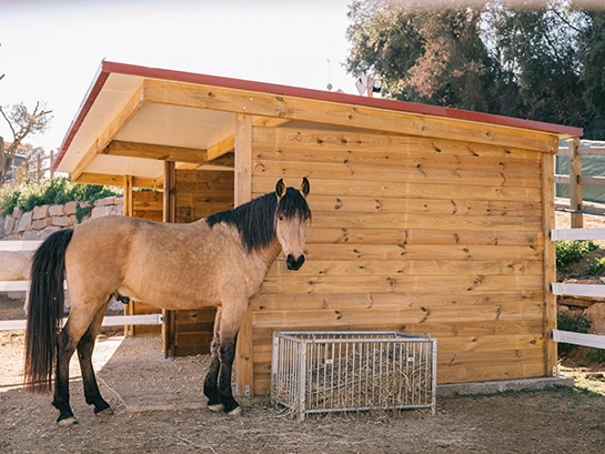 Refugio en PS Equestrian