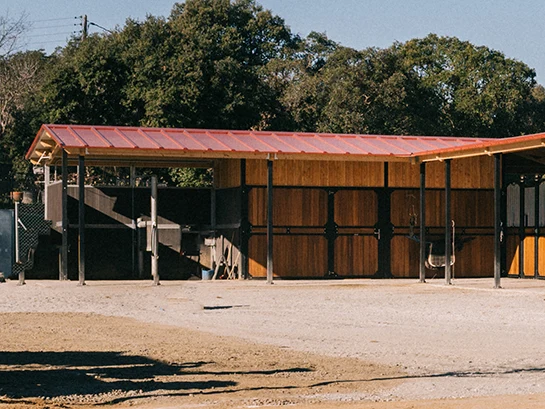 Zona de preparación y ducha en PS Equestrian