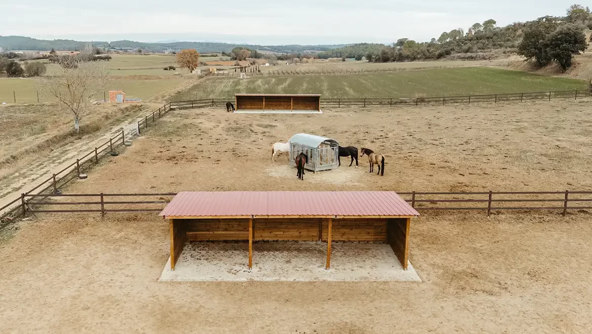 Refugios y forrajeras para caballos