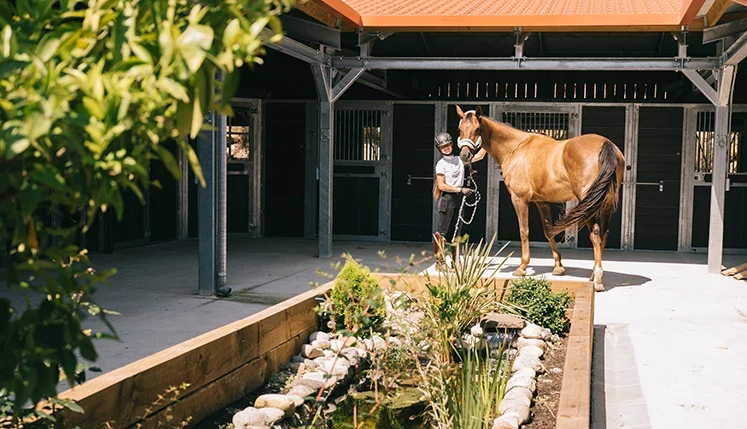 Club Hípic Gavarres Club Hípic Gavarres