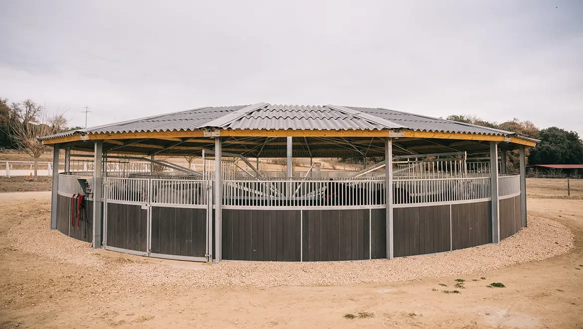 Noria para caballos Smulders Noria para caballos Smulders