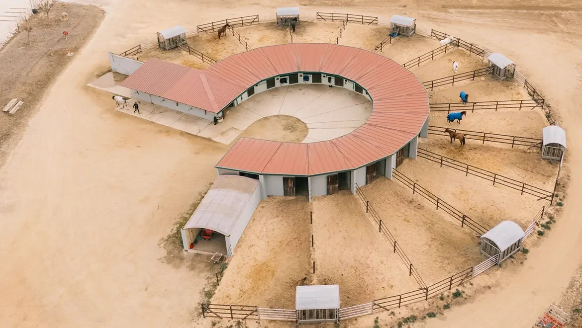 Paddocks para caballos Paddocks para caballos