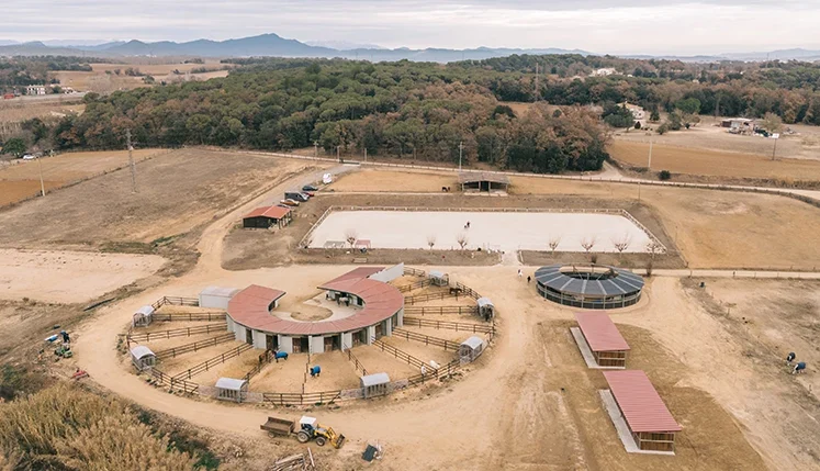 rehabilitacion-encuestre-cherigold-1 rehabilitacion ecuestre en girona